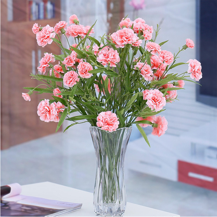 hoa cẩm chướng trang trí phòng khách