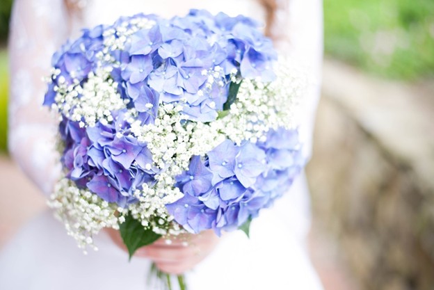 trang trí đám cưới bằng hoa cẩm tú cầu