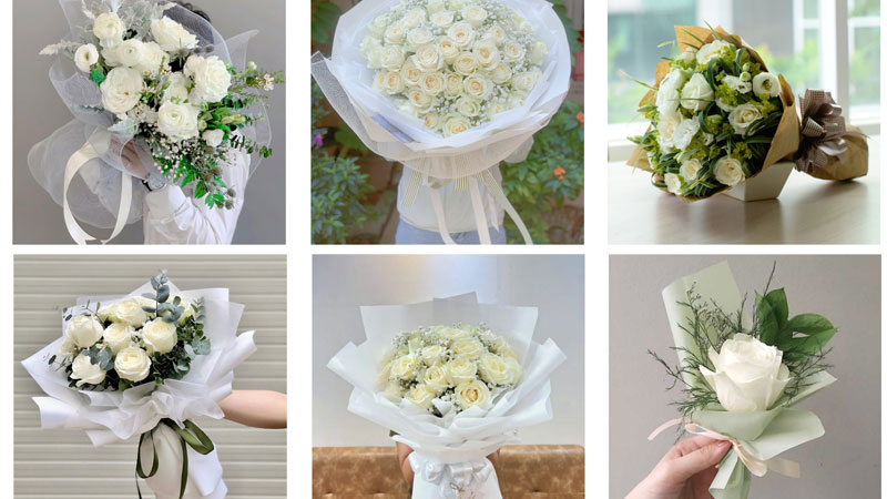 Tìm hiểu ý nghĩa hoa hồng trắng trong tình yêu