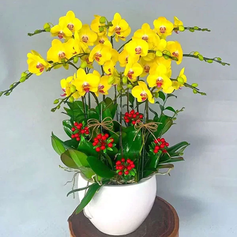 Kinh nghiệm chọn hoa sinh nhật cho sếp nam phù hợp nhất