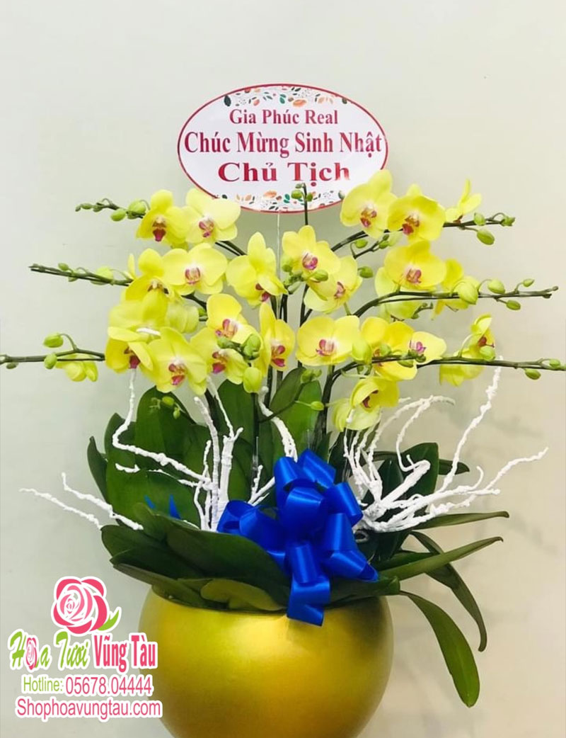 Kinh nghiệm chọn hoa sinh nhật cho sếp nam phù hợp nhất