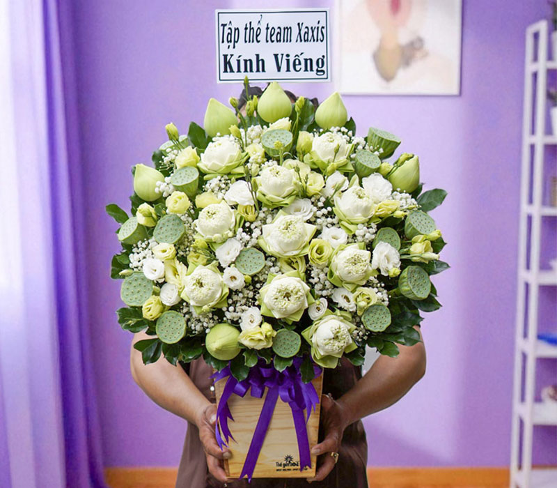 Hoa sen trắng đi viếng.