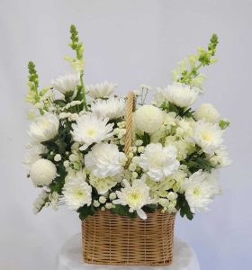 Ảnh hoa cúc trắng chia buồn
