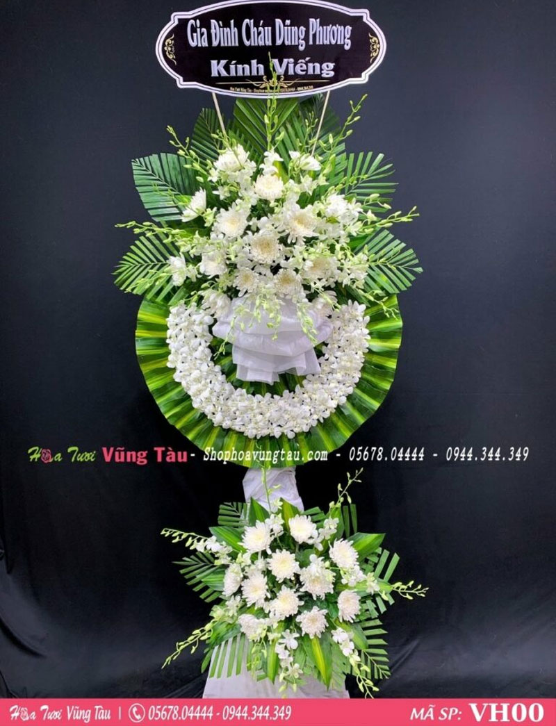 Hoa cúc trắng đám tang 