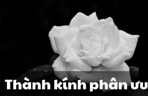 Thành kính phân ưu